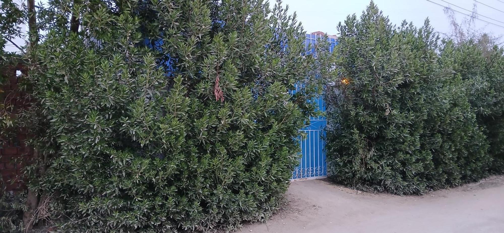 Studio House 樂蜀 外观 照片